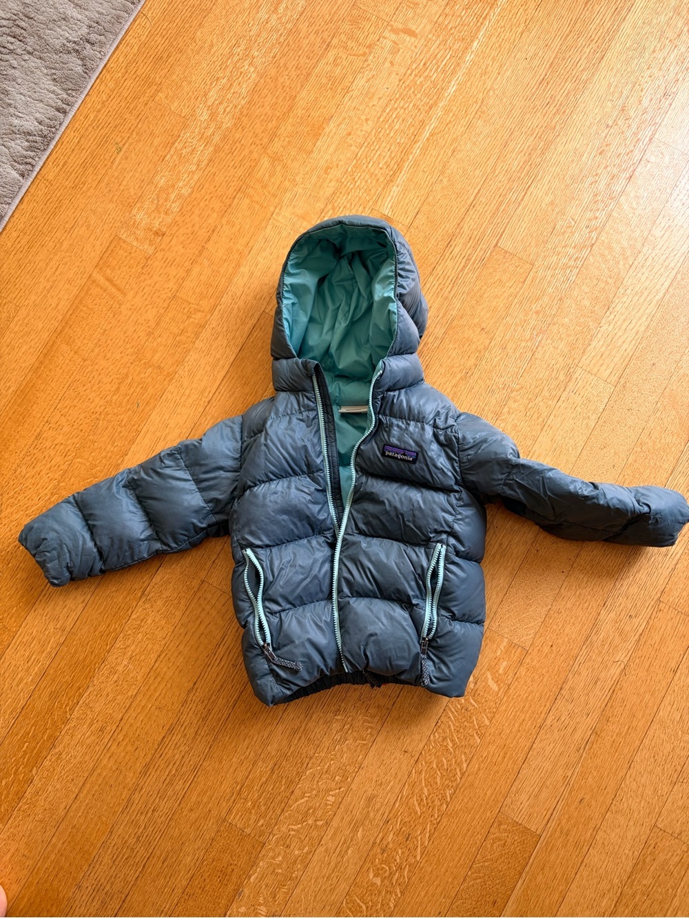Patagonia Baby Hi-Loft Down Sweater Hoody Puffer